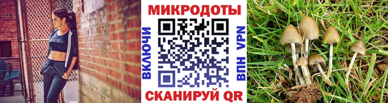 Галлюциногенные грибы прущие грибы  Курчатов 